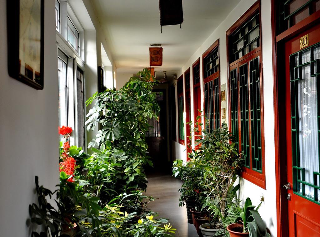 Red Lantern House Vandrerhjem